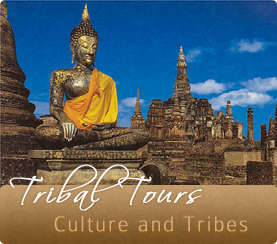 Tribal Tours
